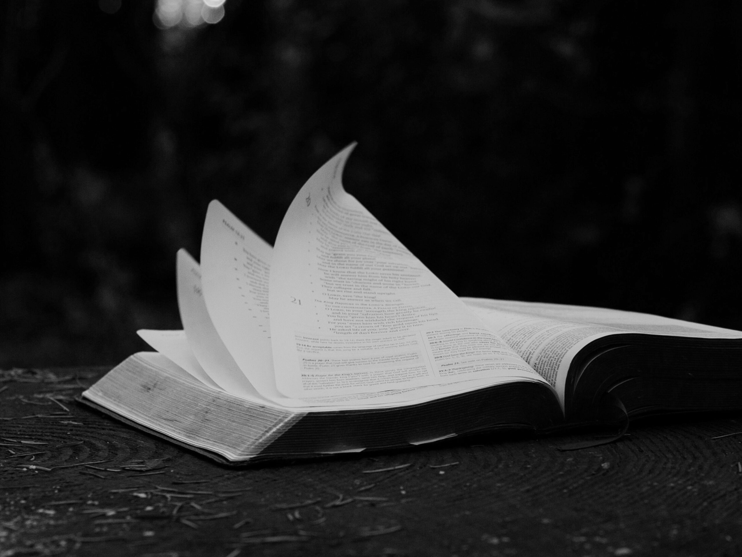 Bible Verses about Transformation - The Redeemed